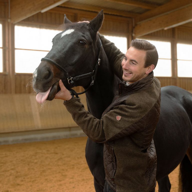 Pferdeosteopath hält das Pferd am Zügel und Kopf, während das Pferd die Zunge herausstreckt, eine Momentaufnahme der Untersuchung