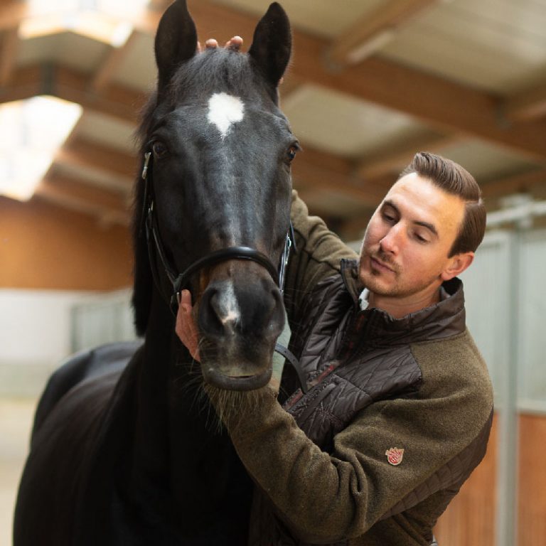 Philipp Dambacher untersucht den Kopf eines Pferdes und zeigt seinen einfühlsamen Ansatz in der Pferdeosteopathie